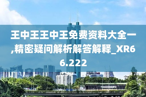 王中王王中王免費(fèi)資料大全一,精密疑問解析解答解釋_XR66.222