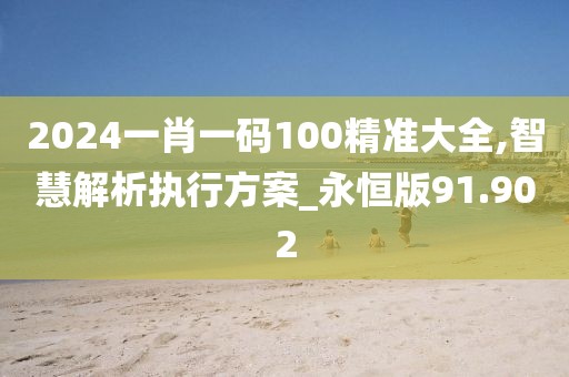 2024一肖一碼100精準大全,智慧解析執(zhí)行方案_永恒版91.902