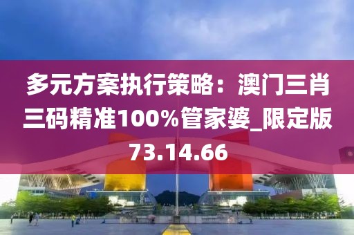 多元方案執(zhí)行策略：澳門三肖三碼精準100%管家婆_限定版73.14.66