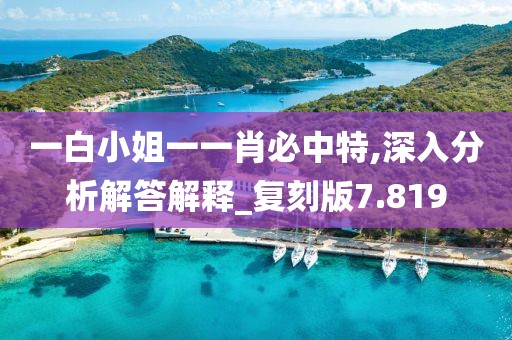 一白小姐一一肖必中特,深入分析解答解釋_復(fù)刻版7.819