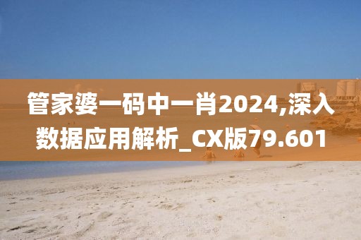 管家婆一碼中一肖2024,深入數(shù)據(jù)應(yīng)用解析_CX版79.601