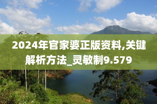 2024年官家婆正版資料,關(guān)鍵解析方法_靈敏制9.579