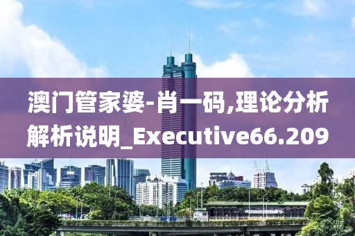 澳門管家婆-肖一碼,理論分析解析說明_Executive66.209