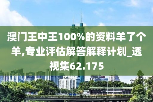 澳門王中王100%的資料羊了個羊,專業(yè)評估解答解釋計劃_透視集62.175