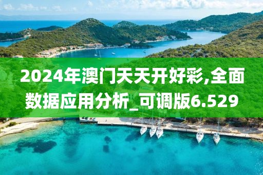 2024年澳門天天開好彩,全面數(shù)據(jù)應(yīng)用分析_可調(diào)版6.529