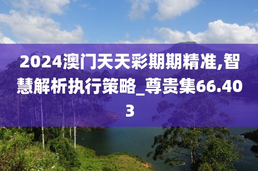 2024澳門天天彩期期精準(zhǔn),智慧解析執(zhí)行策略_尊貴集66.403