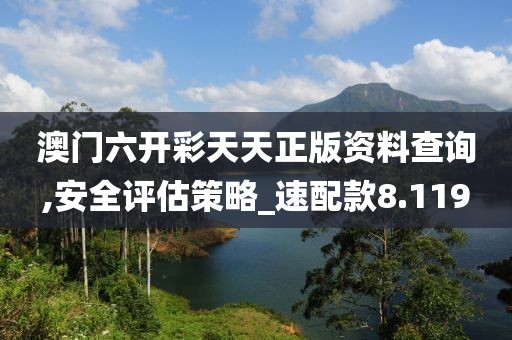 澳門六開彩天天正版資料查詢,安全評估策略_速配款8.119