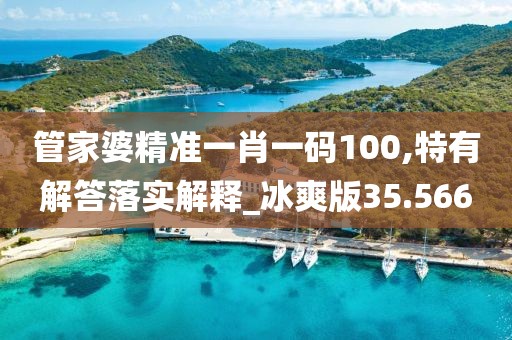 管家婆精準一肖一碼100,特有解答落實解釋_冰爽版35.566