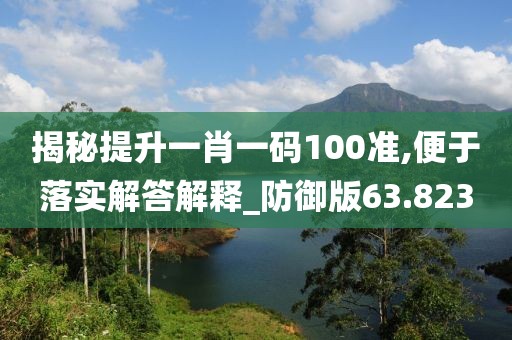 揭秘提升一肖一碼100準(zhǔn),便于落實(shí)解答解釋_防御版63.823