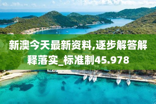 新澳今天最新資料,逐步解答解釋落實(shí)_標(biāo)準(zhǔn)制45.978