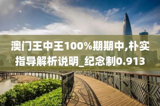 澳門王中王100%期期中,樸實指導解析說明_紀念制0.913