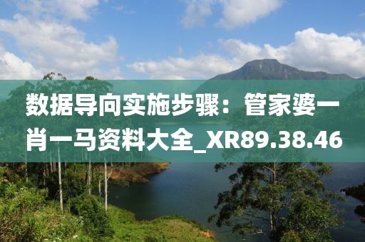 數(shù)據(jù)導(dǎo)向?qū)嵤┎襟E：管家婆一肖一馬資料大全_XR89.38.46