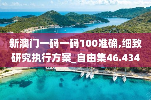 新澳門(mén)一碼一碼100準(zhǔn)確,細(xì)致研究執(zhí)行方案_自由集46.434