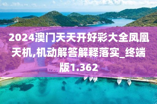 2024澳門天天開好彩大全鳳凰天機,機動解答解釋落實_終端版1.362