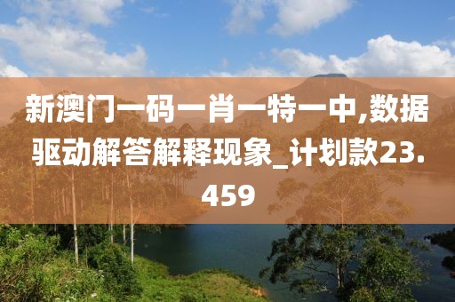 新澳門一碼一肖一特一中,數(shù)據(jù)驅動解答解釋現(xiàn)象_計劃款23.459