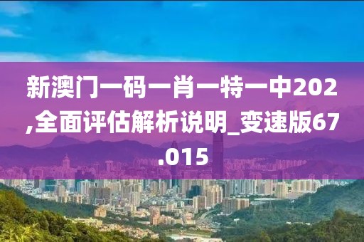 新澳門(mén)一碼一肖一特一中202,全面評(píng)估解析說(shuō)明_變速版67.015