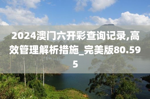 2024澳門六開彩查詢記錄,高效管理解析措施_完美版80.595