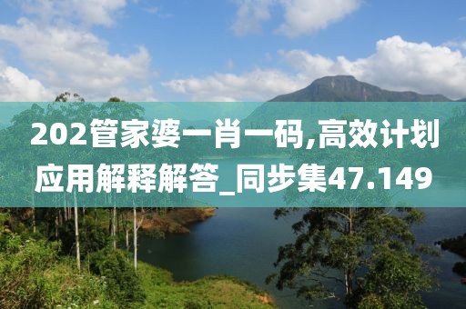 202管家婆一肖一碼,高效計(jì)劃應(yīng)用解釋解答_同步集47.149