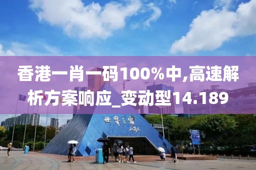 香港一肖一碼100%中,高速解析方案響應_變動型14.189