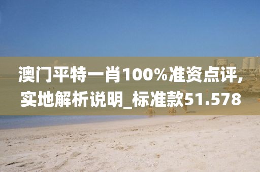 澳門平特一肖100%準資點評,實地解析說明_標準款51.578