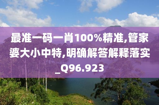 最準(zhǔn)一碼一肖100%精準(zhǔn),管家婆大小中特,明確解答解釋落實(shí)_Q96.923