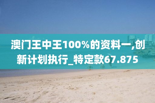 澳門王中王100%的資料一,創(chuàng)新計劃執(zhí)行_特定款67.875