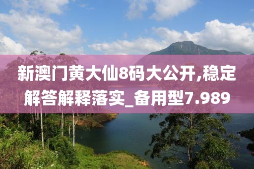 新澳門黃大仙8碼大公開,穩(wěn)定解答解釋落實_備用型7.989