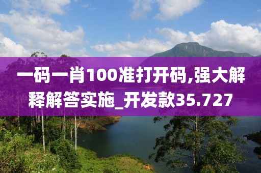 一碼一肖100準打開碼,強大解釋解答實施_開發(fā)款35.727