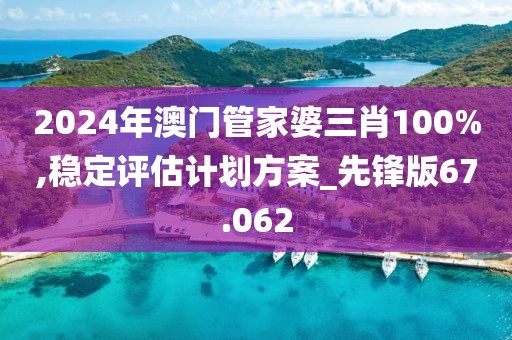 2024年澳門(mén)管家婆三肖100%,穩(wěn)定評(píng)估計(jì)劃方案_先鋒版67.062