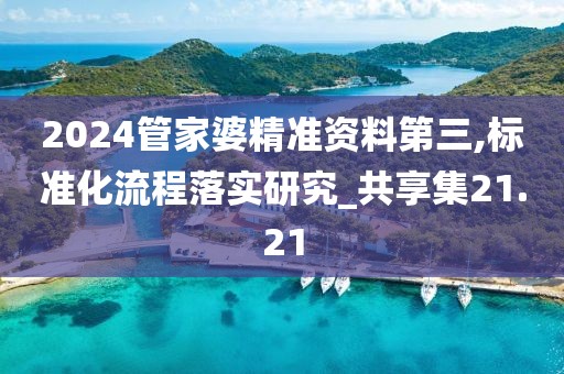 2024管家婆精準資料第三,標準化流程落實研究_共享集21.21