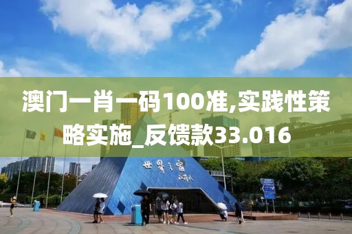 澳門一肖一碼100準,實踐性策略實施_反饋款33.016