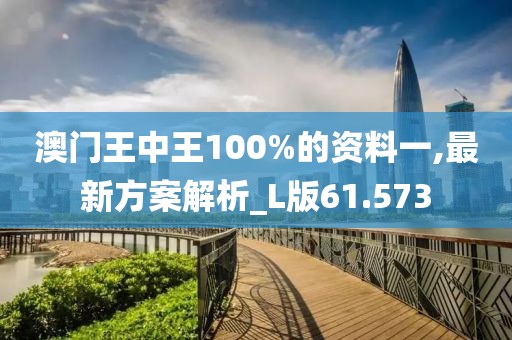 澳門王中王100%的資料一,最新方案解析_L版61.573