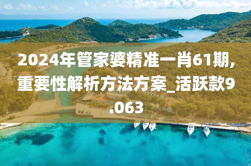 2024年管家婆精準(zhǔn)一肖61期,重要性解析方法方案_活躍款9.063