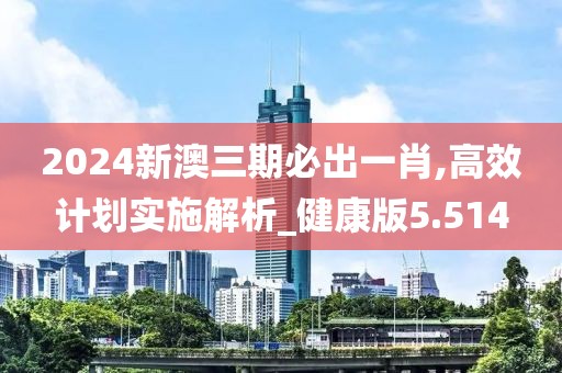 2024新澳三期必出一肖,高效計(jì)劃實(shí)施解析_健康版5.514