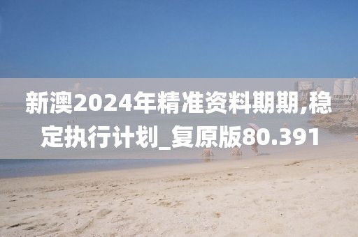 新澳2024年精準(zhǔn)資料期期,穩(wěn)定執(zhí)行計(jì)劃_復(fù)原版80.391