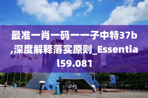 最準一肖一碼一一子中特37b,深度解釋落實原則_Essential59.081