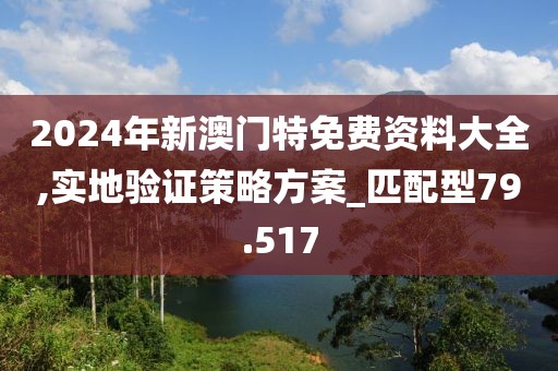 2024年新澳門特免費資料大全,實地驗證策略方案_匹配型79.517