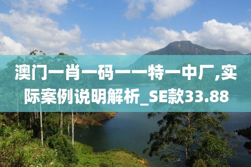 澳門一肖一碼一一特一中廠,實際案例說明解析_SE款33.88