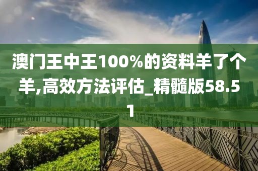 澳門(mén)王中王100%的資料羊了個(gè)羊,高效方法評(píng)估_精髓版58.51