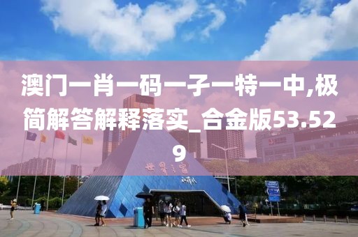 澳門一肖一碼一孑一特一中,極簡(jiǎn)解答解釋落實(shí)_合金版53.529