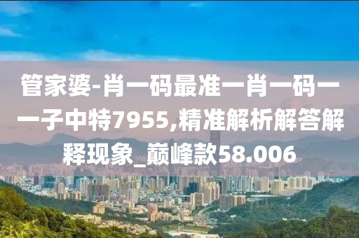 2024年11月8日 第46頁