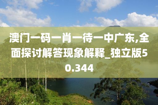 澳門(mén)一碼一肖一待一中廣東,全面探討解答現(xiàn)象解釋_獨(dú)立版50.344