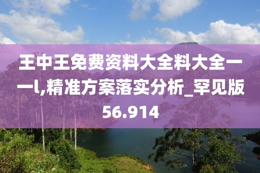 王中王免費(fèi)資料大全料大全一一l,精準(zhǔn)方案落實(shí)分析_罕見版56.914