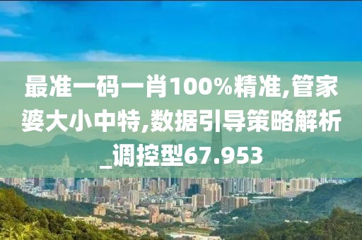 最準(zhǔn)一碼一肖100%精準(zhǔn),管家婆大小中特,數(shù)據(jù)引導(dǎo)策略解析_調(diào)控型67.953