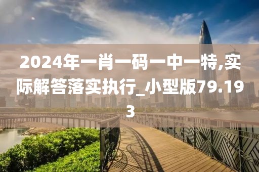 2024年一肖一碼一中一特,實際解答落實執(zhí)行_小型版79.193