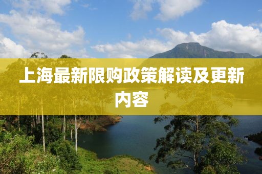 上海最新限購政策解讀及更新內(nèi)容