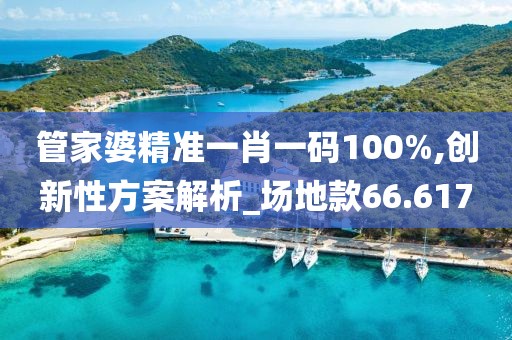 管家婆精準(zhǔn)一肖一碼100%,創(chuàng)新性方案解析_場地款66.617