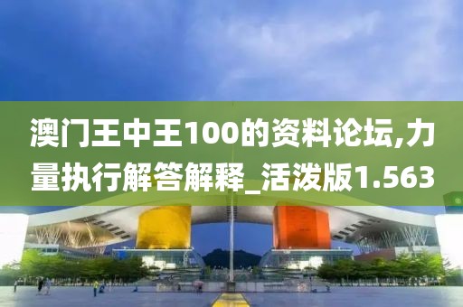 澳門王中王100的資料論壇,力量執(zhí)行解答解釋_活潑版1.563