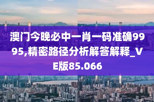 澳門今晚必中一肖一碼準(zhǔn)確9995,精密路徑分析解答解釋_VE版85.066