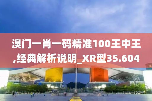 溴門一肖一碼精準(zhǔn)100王中王,經(jīng)典解析說明_XR型35.604